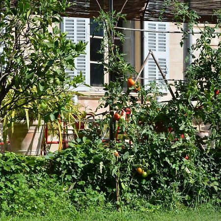 Les Passiflores Grasse Luaran gambar