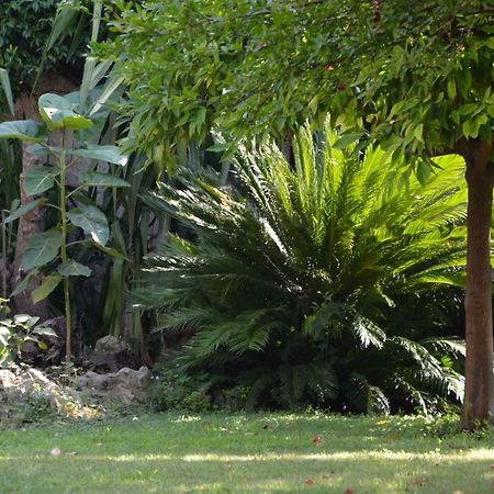 Les Passiflores Grasse Luaran gambar