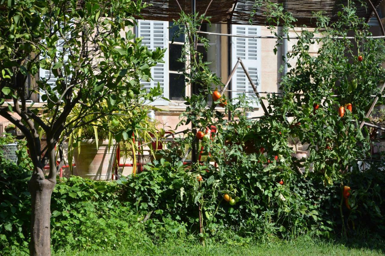 Les Passiflores Grasse Luaran gambar