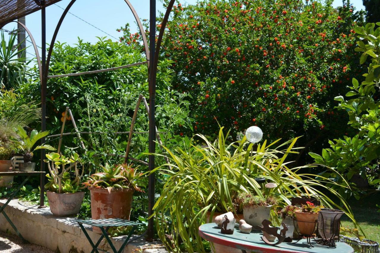 Les Passiflores Grasse Luaran gambar