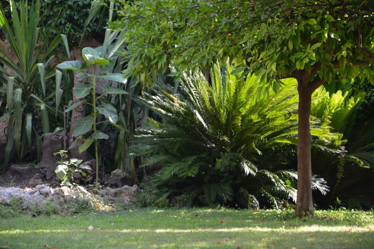 Les Passiflores Grasse Luaran gambar